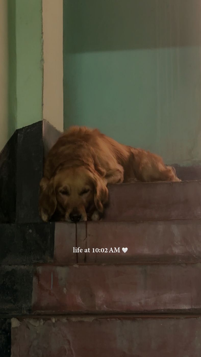 Goku lying on the steps